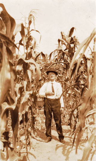 J F Jones picking corn