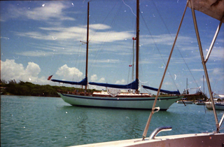 Boats in Harbor